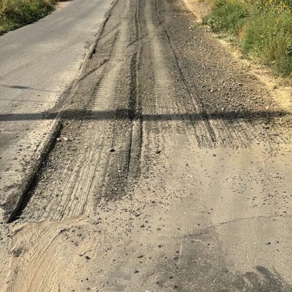 WhatsApp Image 2025 09 20 at 1 07 12 PM 600x600