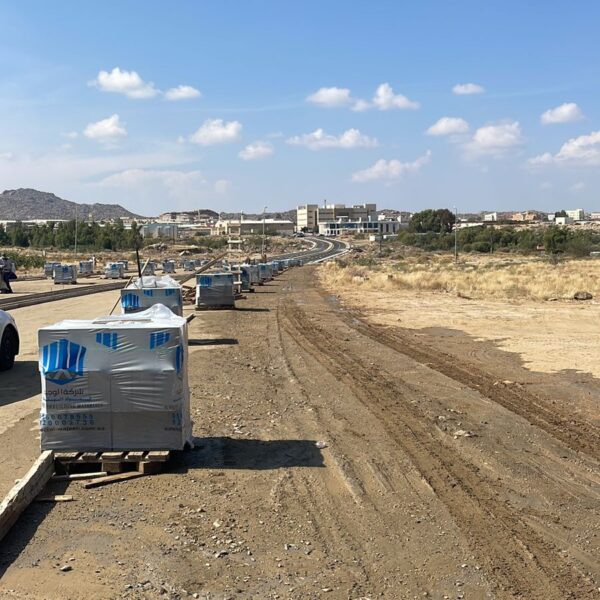 WhatsApp Image 2025 09 20 at 1 21 32 PM 7 600x600