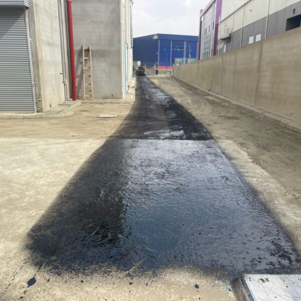 WhatsApp Image 2025 09 20 at 1 24 24 PM 3 600x600