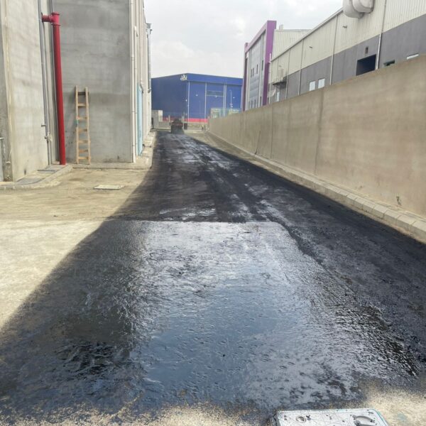 WhatsApp Image 2025 09 20 at 1 24 24 PM 5 600x600