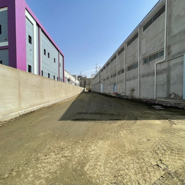 WhatsApp Image 2025 09 20 at 1 24 48 PM 1 600x600