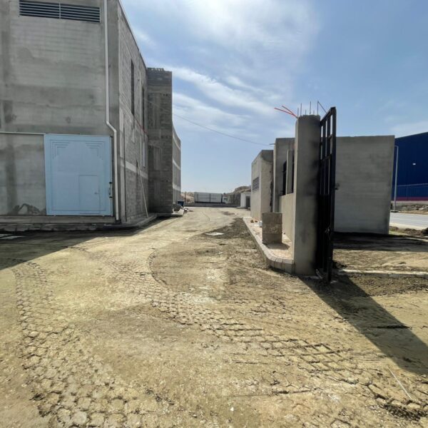 WhatsApp Image 2025 09 20 at 1 24 48 PM 600x600