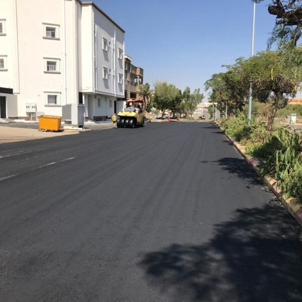 WhatsApp Image 2025 09 20 at 1 27 44 PM 3 600x600