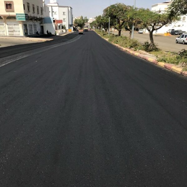 WhatsApp Image 2025 09 20 at 1 27 44 PM 5 600x600