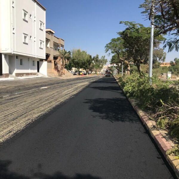 WhatsApp Image 2025 09 20 at 1 27 44 PM 6 600x600