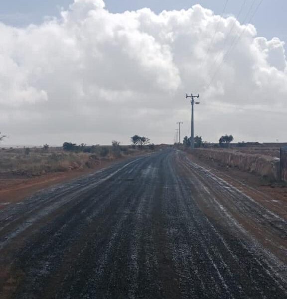 WhatsApp Image 2025 09 20 at 1 30 32 PM 576x600