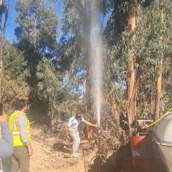 WhatsApp Image 2024 11 13 at 3 23 41 PM 1 600x600