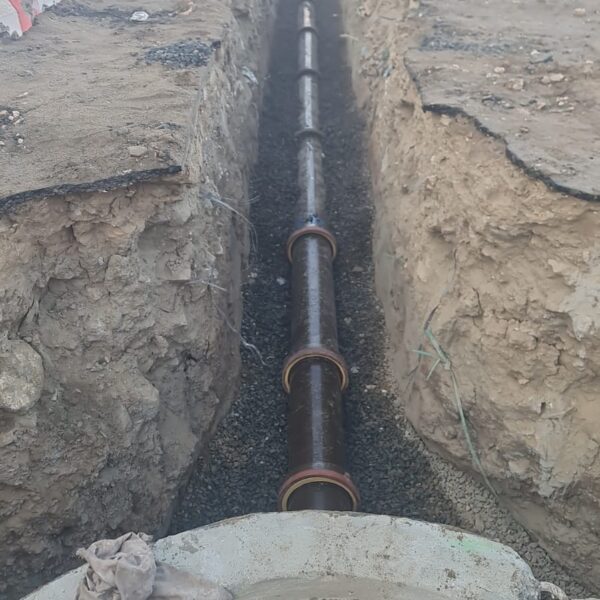 WhatsApp Image 2025 05 11 at 12 28 50 PM 1 600x600