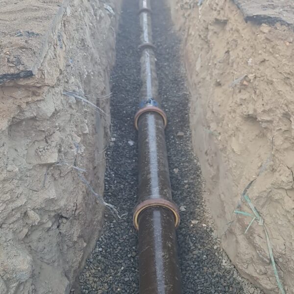 WhatsApp Image 2025 05 11 at 12 28 51 PM 1 600x600