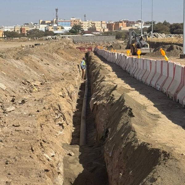 WhatsApp Image 2025 05 15 at 3 33 43 PM 2 600x600